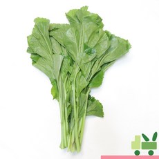 사라상회 아욱 4kg, 1개