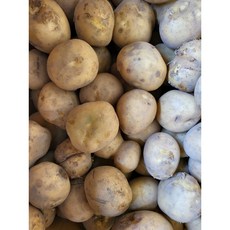 못난이감자-추천-상품