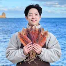 슈퍼스퀴드 울릉도 반건조 마른 오징어, 마른오징어(특대) / 5마리 / 500g
