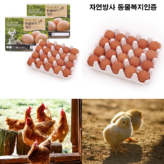 자연방목계란