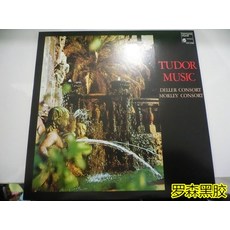혼꾸멍 희귀앨범 LP판 튜더 뮤직 델 배우자 몰리의 배우자 LP 레코드