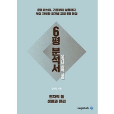 현자의돌6평
