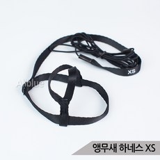 모란앵무하네스