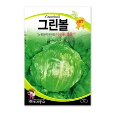 중국산양상추