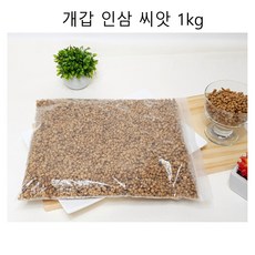 개갑 인삼 씨앗 1kg 모종 인삼씨 종자 1킬로 장뇌삼 산양삼 개갑된 인삼열매 심기, 단품