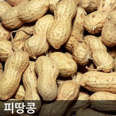 2023년 햇 볶음피땅콩 10kg 벌크 견과류, 껍질채볶은피땅콩10kg벌크, 1개
