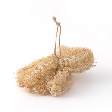 걸레세척용실리콘브러시