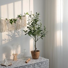케이트가든 올리브나무 조화나무, 80cm, 1개
