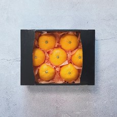 매료 제주 천혜향 설 선물세트 명절특품, 1세트, 중과 1.5kg