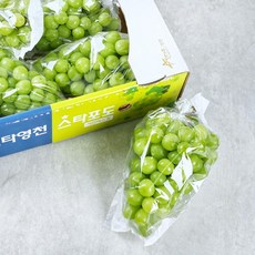 샤인머스켓4kg