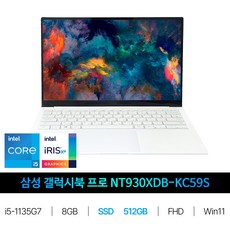 IT_NT930XDB-KC59S SSD 512GB교체 재고보유, 단일옵션