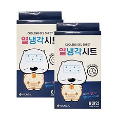 성인용 열냉각시트 6매입/열내림패치, 2개, 6매입
