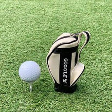 지아이조점핑볼