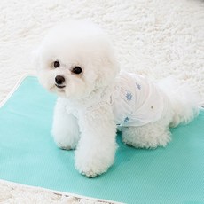 루플리 에코패드 대형 L 3장세트 빨아쓰는 배변패드 다회용 강아지 논슬립, 아이보리 3장 set, L 일반