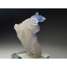 듀모티어라이트