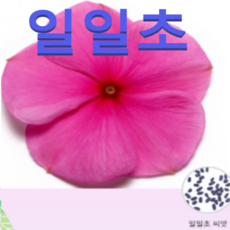 2e58d93df04a376892ed5de849a298735877b8de61f814ef8cf517239213.png