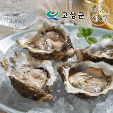 [공룡나라]동성수산 국산 동성수산 석화 10kg / 경남 고성, 1개