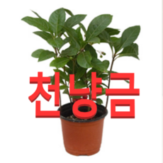 2d4f91202b486ac449254e752008e50664766027c2cb490b4521b1d8df88.png