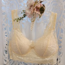 트라이엄프속옷