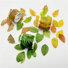 감성 나뭇잎 낙엽스티커, 열대우림초록잎, 단품, 스티커모양:열대우림초록잎