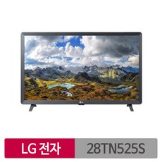 LG전자 70cm HD 스마트 TV 모니터, 28TN525S