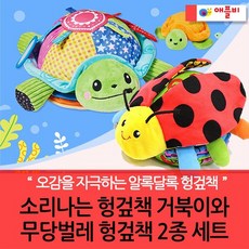 무당벌레책