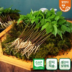 새싹향기농장