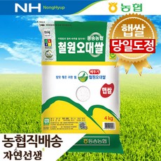 농협 2021 당일도정 철원오대쌀 4kg 자연선생, 1개