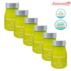 내장지방분해차