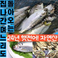 신선한 24년 햇전어 구이용 100% 국내산 자연산 전어구이 햇 전어, 1개