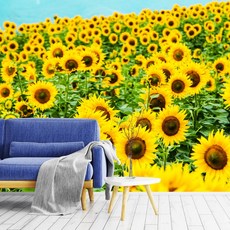 행운의벽지포인트
