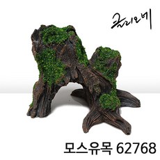 클리오네 모스유목 62768 / 파충류용품 도마뱀은신처 육지거북 크레스티드게코 장식 유목
