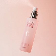 클리오메이크업픽서