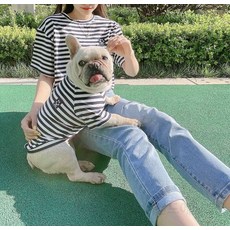 개플룩 견주 반려견 커플룩 스트라이프 반팔 시밀러 P56, 1개, 오렌지