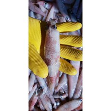 원양산 급냉 한치 500g 7-13미 내외 제철 별미 찜 구이 볶음 튀김 전 무침 탕 안주, 1개