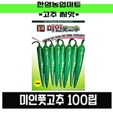 미인풋고추모종