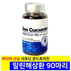 해삼환 건조 말린 활해삼 분말 가루 추출물 마그네슘 사포닌 콘드로이친 바다산삼 인삼 보양식품 강장제 지구력 활력 에너지 정력 효능 효능 40대 50대 60대 70대 남성 여성 추천
