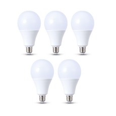 삼영전기 LED 전구 E26, [1등급] 12W주광색(흰빛), 5개