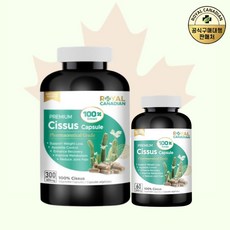 로얄캐네디언부스터