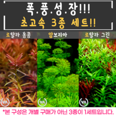 ff4a5c9c543ce0cc0ce4db4a8f2bc6e629415e868aaddd130ffe5145d523.png