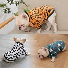 강아지과잠