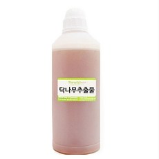 닥나무뿌리