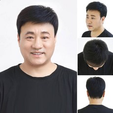 중년남성짧은머리가발