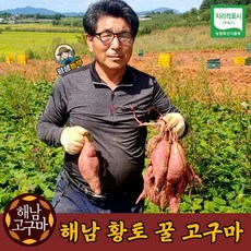 화산농협해남황토밤고구마