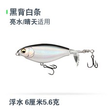 생물무늬오징어