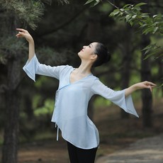 댄스복 고전무용 트레이닝복 여자성인 플레어소매 예술학과입시 연기 집훈련 복무용 망사의류, C02-미와 바구니