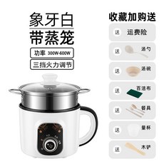 슬로우쿠커기계식