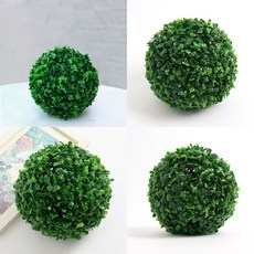 하와이안트로픽파는곳