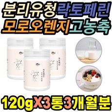 자임곤약젤리