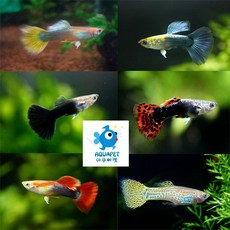 50cce41783dce1937a979a9bd799885097d5e78af04a3cece7e06d27ab12.jpg
